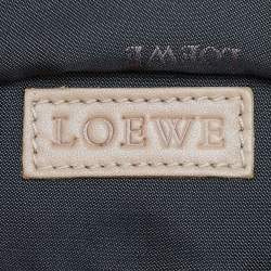Loewe Multicolor Leather Aire Hobo