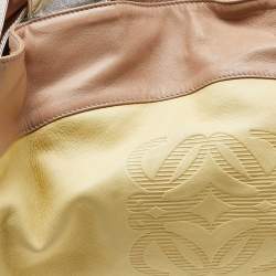 Loewe Multicolor Leather Aire Hobo