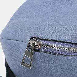 Loewe Blue Leather Whale Belt Bag