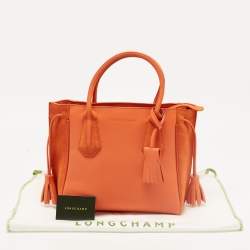 Pre Owned Longchamp Orange Leather and Suede Small Penelope Fantasie Tote