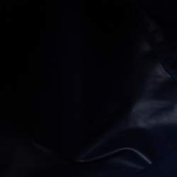 Pre Owned Longchamp Blue Nylon and Leather Le Pliage Neo Tote