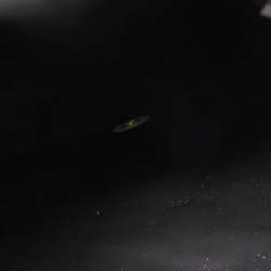 Pre Owned Longchamp Navy Blue/Brown Nylon and Leather Le Pliage Backpack