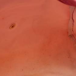 Pre Owned Longchamp Pink/Brown Nylon and Leather Le Pliage Backpack