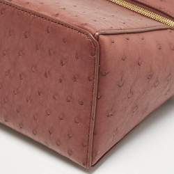 Loro Piana Brown Ostrich L27 Extra Bag