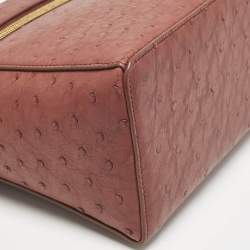 Loro Piana Brown Ostrich L27 Extra Bag