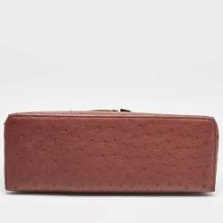 Loro Piana Brown Ostrich L27 Extra Bag