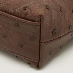 مملوكة مسبقًا Loro Piana L19 Brown Ostrich Zip Pouch