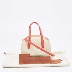 Pre Owned Loro Piana Multicolor Grained Leather Micro Sesia Tote