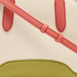 Pre Owned Loro Piana Multicolor Grained Leather Micro Sesia Tote