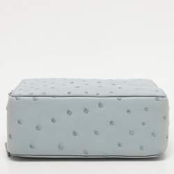 Pre Owned Loro Piana Grey Ostrich Leather Mini Clui Crossbody Bag