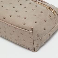 Pre Owned Loro Piana Grey Ostrich Leather Extra Pouch L19 Clutch