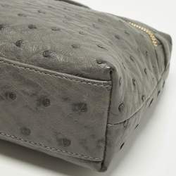 Pre Owned Loro Piana L19 Grey Ostrich Extra Pocket Pouch Clutch