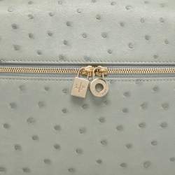 Pre Owned حقيبة صغيرة لورو بيانا L27 جيب إضافي جلد نعام رمادي