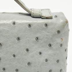 Pre Owned Loro Piana Extra Pocket L19 Light Blue Ostrich Leather Pouch