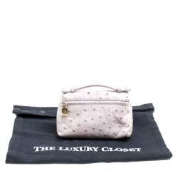 Pre Owned Loro Piana Pale Green Ostrich Leather Zip Pouch