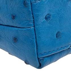 Pre Owned Loro Piana Blue Ostrich L19 Pouch