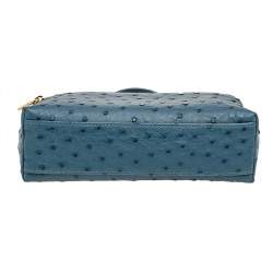 Pre Owned Loro Piana Teal Ostrich Zip L19 Pouch