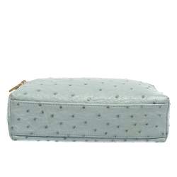 Pre Owned Loro Piana Pale Blue Ostrich L19 Pouch 
