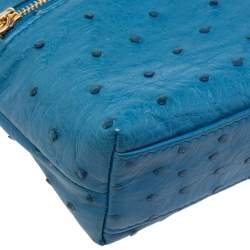 Pre Owned Loro Piana Blue Ostrich Zip L19 Pouch