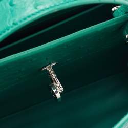 Pre Owned Loro Piana Green Ostrich Cluisee Top Handle Bag