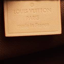 Pre Owned Louis Vuitton Monogram Canvas Speedy Nano Bag