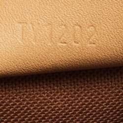 Pre Owned Louis Vuitton Monogram Canvas Speedy Nano Bag