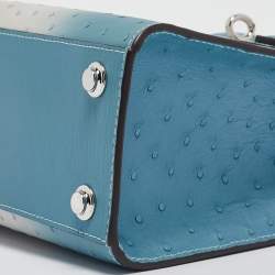 Pre Owned Louis Vuitton Blue/White Ombre Ostrich City Steamer Mini Bag