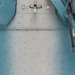 Pre Owned Louis Vuitton Blue/White Ombre Ostrich City Steamer Mini Bag
