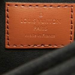 Pre Owned Louis Vuitton Monogram/Monogram Reverse Canvas Dauphine MM Bag