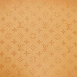 Pre Owned Louis Vuitton Fortune Cookie Tan Monogram Leather Pouch
