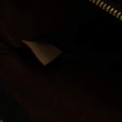 مملوكة مسبقًا Louis Vuitton Monogram Canvas Multi-Pochette Accessories Bag