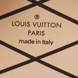 Pre Owned Louis Vuitton Monogram Canvas Mini Boite Chapeau Bag