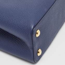 Pre Owned Louis Vuitton Navy Blue/Brown Leather Studded Capucines BB Bag