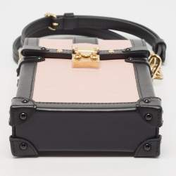 Pre Owned Louis Vuitton Black/Rose Ballerine Epi Leather Vertical Trunk Pochette