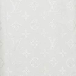 مملوكة مسبقًا Louis Vuitton White Monogram Wool and Silk Shawl 