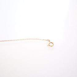 Pre Owned سوار لوي فيتون كلر بلوسوم بي بي بنجمة