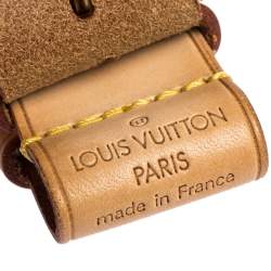 مملوكة مسبقًا بطاقة حقيبة لوي فيتون جلد فاشيتا