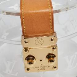 Pre Owned Louis Vuitton Scott Plexiglass Ornamental Box