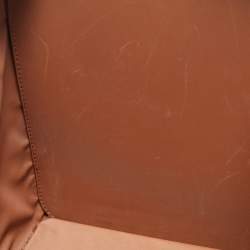 Louis Vuitton Monogram Canvas Dog Carrier 40