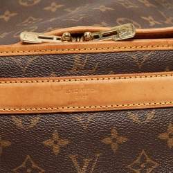 Louis Vuitton Monogram Canvas Dog Carrier 40