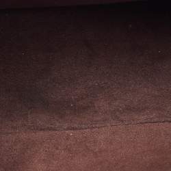 Pre Owned Louis Vuitton Honey Gold Epi Leather Buci Bag