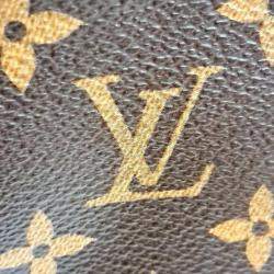 Louis Vuitton Brown Monogram Mini Soft Trunk Shoulder Bag