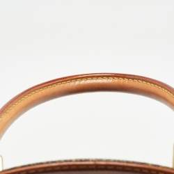 Pre Owned Louis Vuitton Monogram Canvas Ellipse PM Bag