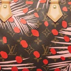 Pre Owned Louis Vuitton Monogram Canvas Limited Edition Jungle Dots Speedy 30 Bag