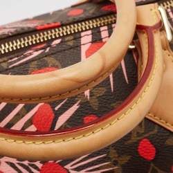 Pre Owned Louis Vuitton Monogram Canvas Limited Edition Jungle Dots Speedy 30 Bag
