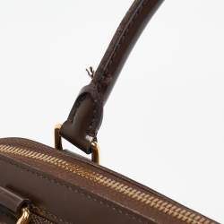 Pre Owned Louis Vuitton Damier Ebene Canvas Trevi PM Bag