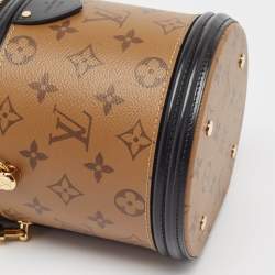 Louis Vuitton Monogram Reverse Canvas Cannes Bag