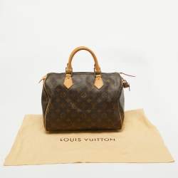 Pre Owned Louis Vuitton Monogram Canvas Speedy 30 Bag