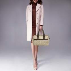 Louis Vuitton Beige/Brown Monogram Mini Lin Canvas Josephine GM Bag