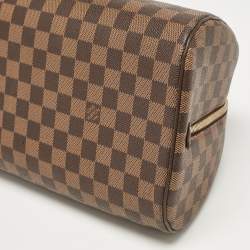Louis Vuitton Damier Ebene Canvas Ribera MM Bag